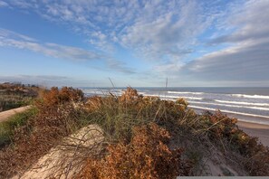 Une plage avec des dunes de sable et une végétation clairsemée.