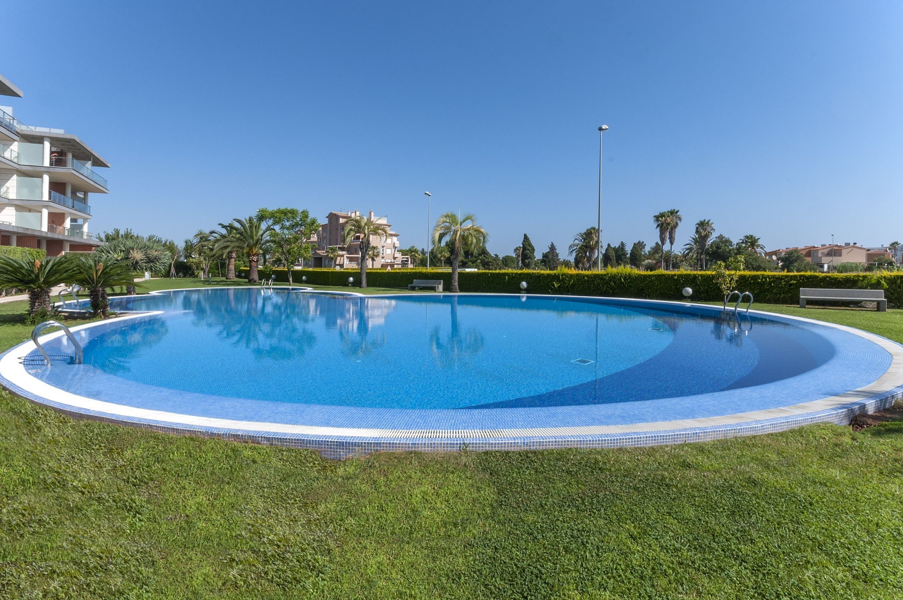 A large, clear swimming pool surrounded by well-maintained grass and palm trees, with modern buildings in the background.