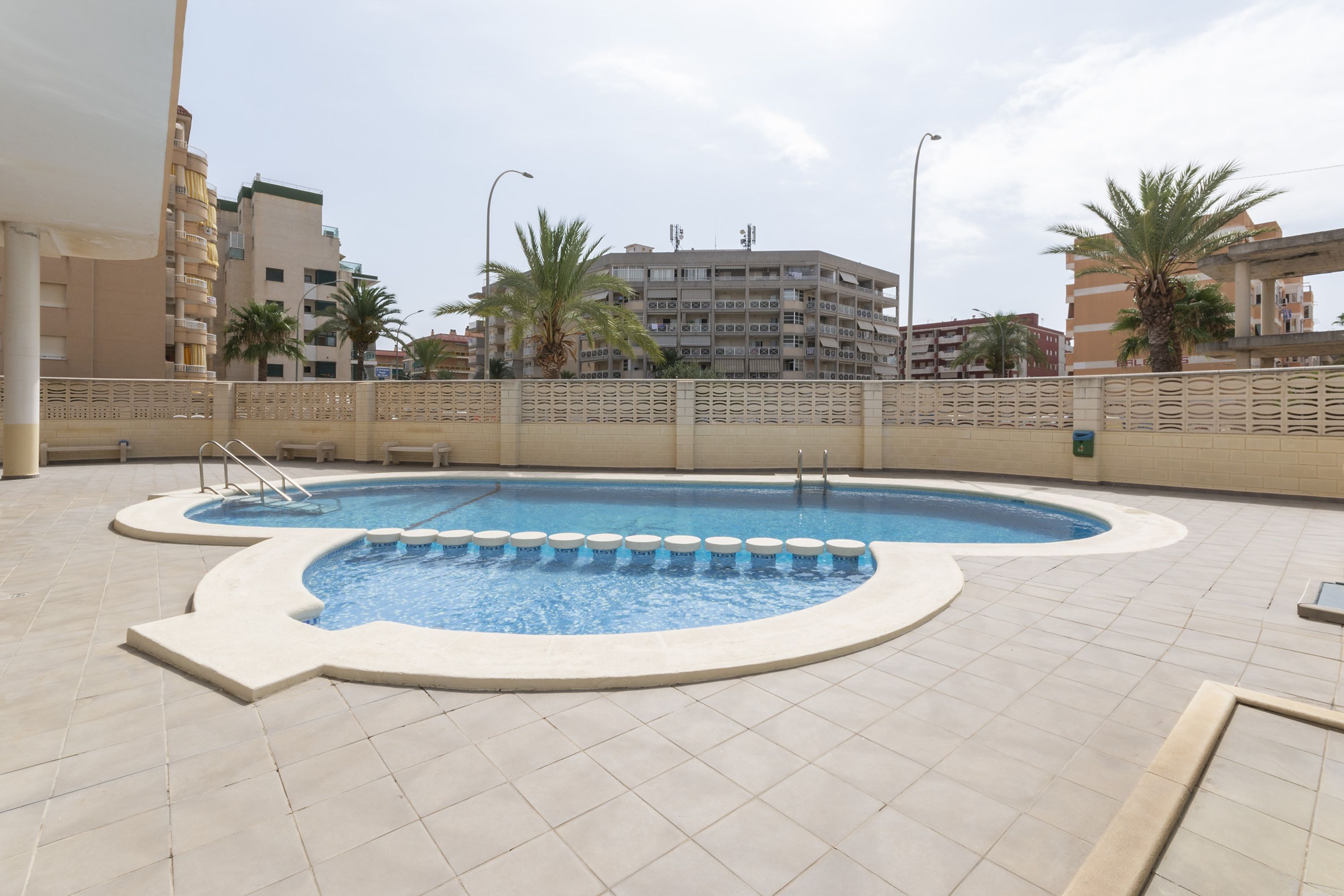 A swimming pool with a tiled deck, surrounded by a low wall and palm trees.