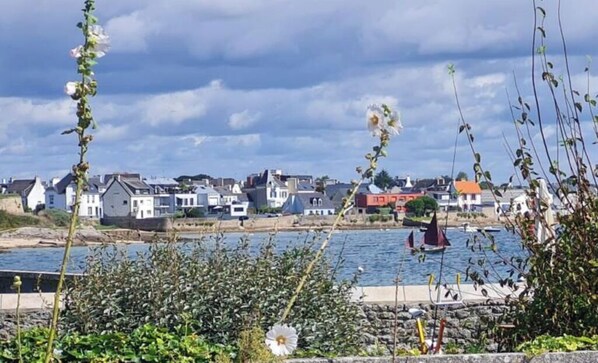 Un pueblo costero con casas a lo largo del agua, un muelle y veleros.