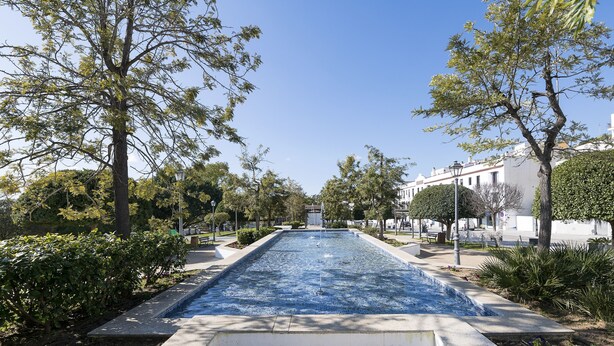 Una piscina rectangular amb vora enrajolada, envoltada d'arbres i arbustos, i edificis al fons.