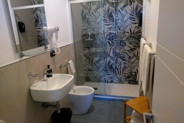 Shower, hair dryer, bidet, towels