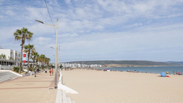 Une plage avec une promenade dallée, des palmiers et des parasols de plage.
