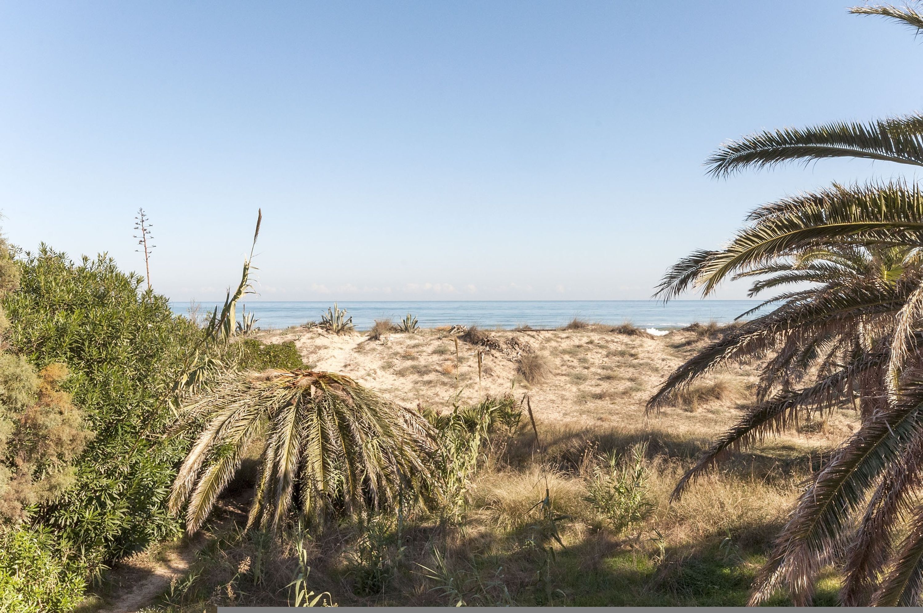 Una playa con dunas de arena, palmeras y una vista despejada del océano.