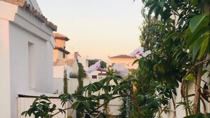A swimming pool surrounded by greenery, a white wall, and a bicycle. - Casa Tecolote in Chiclana de la Frontera (Chiclana de la Frontera)