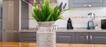 Tolox 2 in Tolox With 1 Bedrooms and 1 Bathrooms