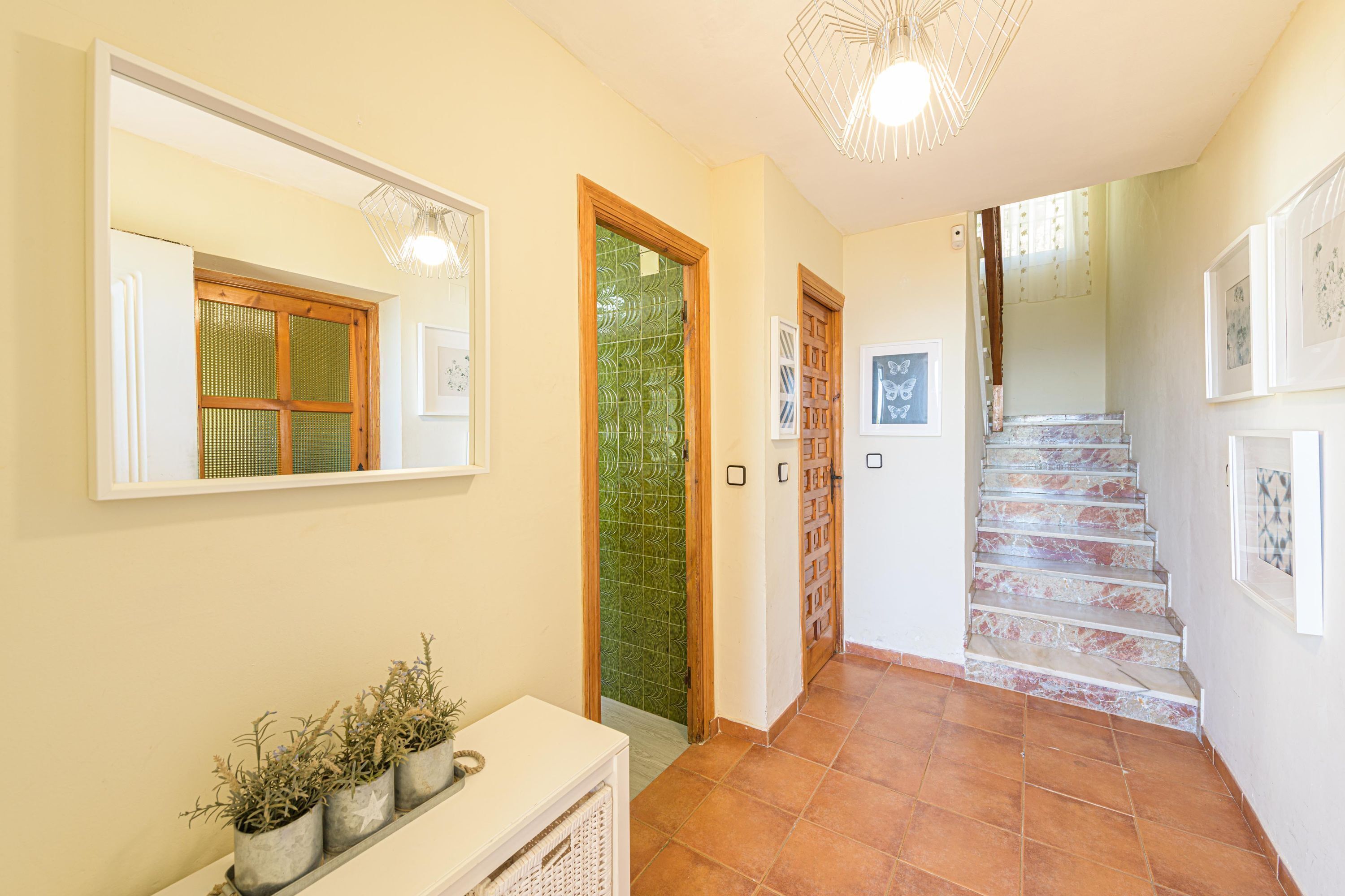 A hallway with a tiled floor, a white console table with potted plants, a mirror, and a staircase with a patterned tile design.