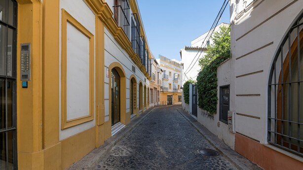 Une ruelle étroite pavée, bordée d’immeubles aux portes et fenêtres en arc de cercle.