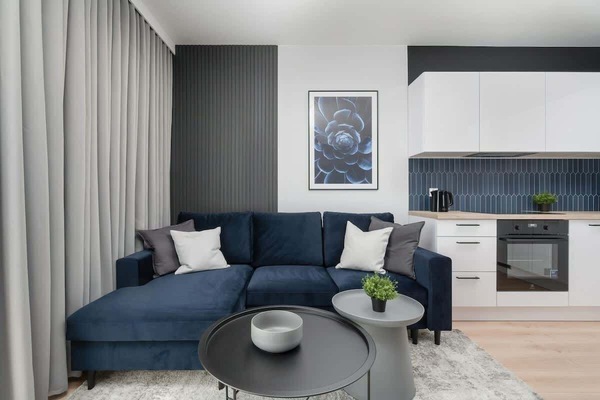 A bright studio apartment with a navy-blue sofa, white kitchen cabinets, and modern décor.