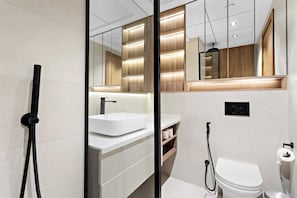 Shower, hair dryer, towels