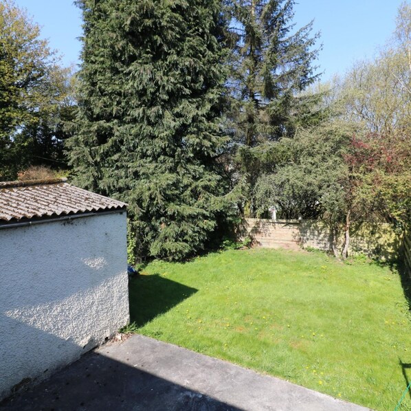 A residential backyard with a lawn, a tall evergreen tree, and a white building with a tiled roof.