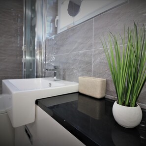 A modern bathroom with a white sink, a beige soap dish, and a potted plant with long green leaves. - Dumbreck House - Glasgow (Glasgow)