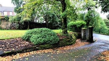 Apartment | 1 bedroom