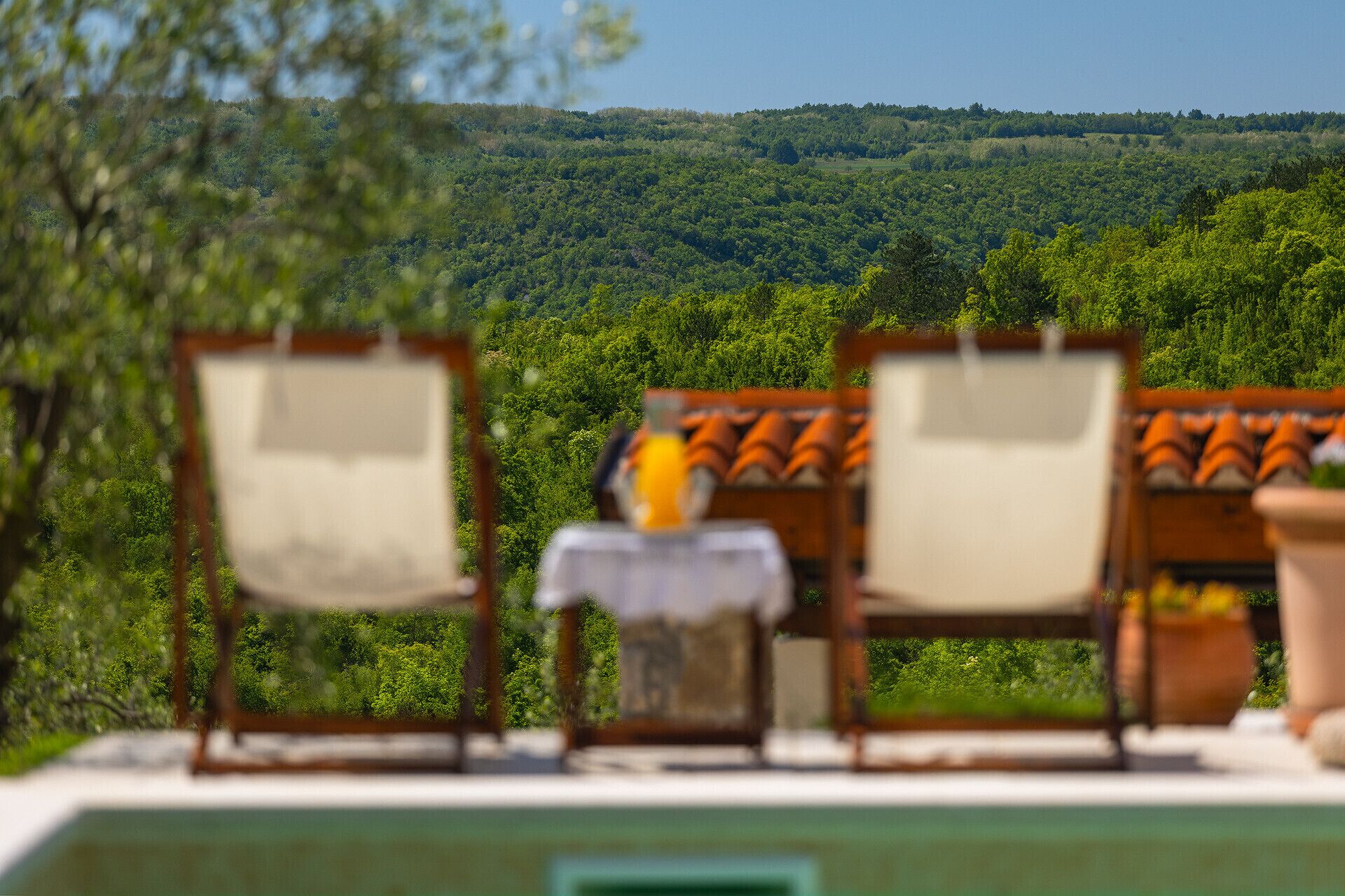 المنطقة المحيطة بالمنشأة