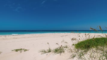 Accommodatie ligt op het strand