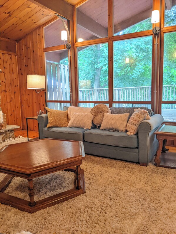 Smart TV, fireplace, books