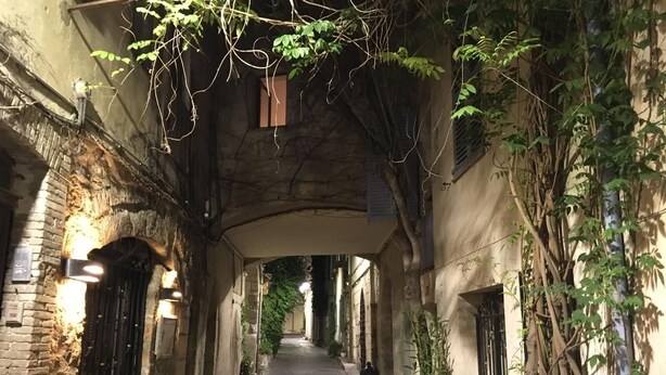A narrow cobblestone alleyway with brick walls, hanging vines, and outdoor lighting fixtures. - 2 Pièces Dans la Vieille Ville (Antibes)