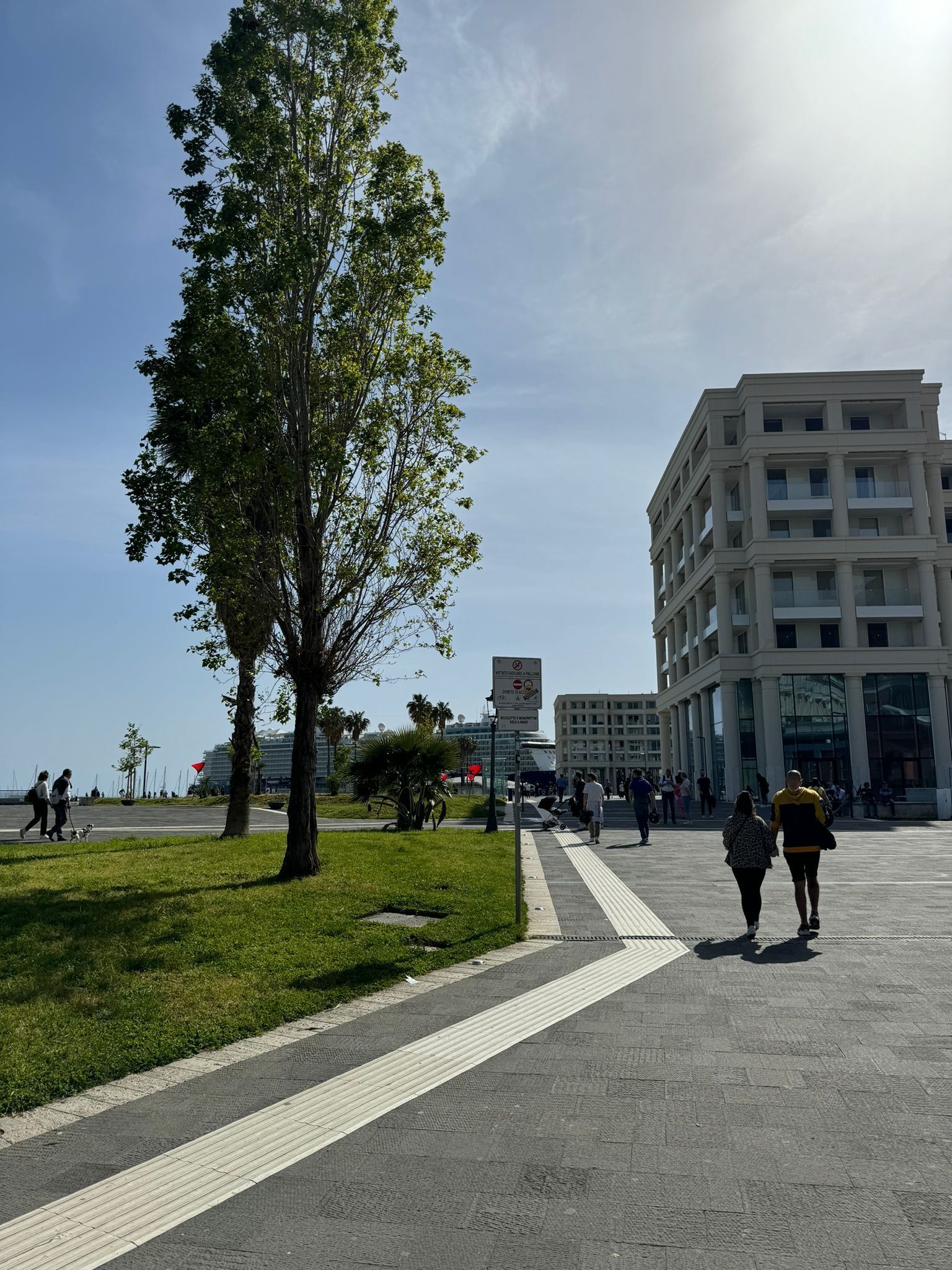 Un vaste espace extérieur doté d’une allée pavée, d’un grand arbre et d’un bâtiment moderne en arrière-plan.