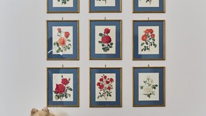 A wall with framed floral artwork, a small dog on a desk, and a chair with headphones. - GLAM TIME (Genoa)
