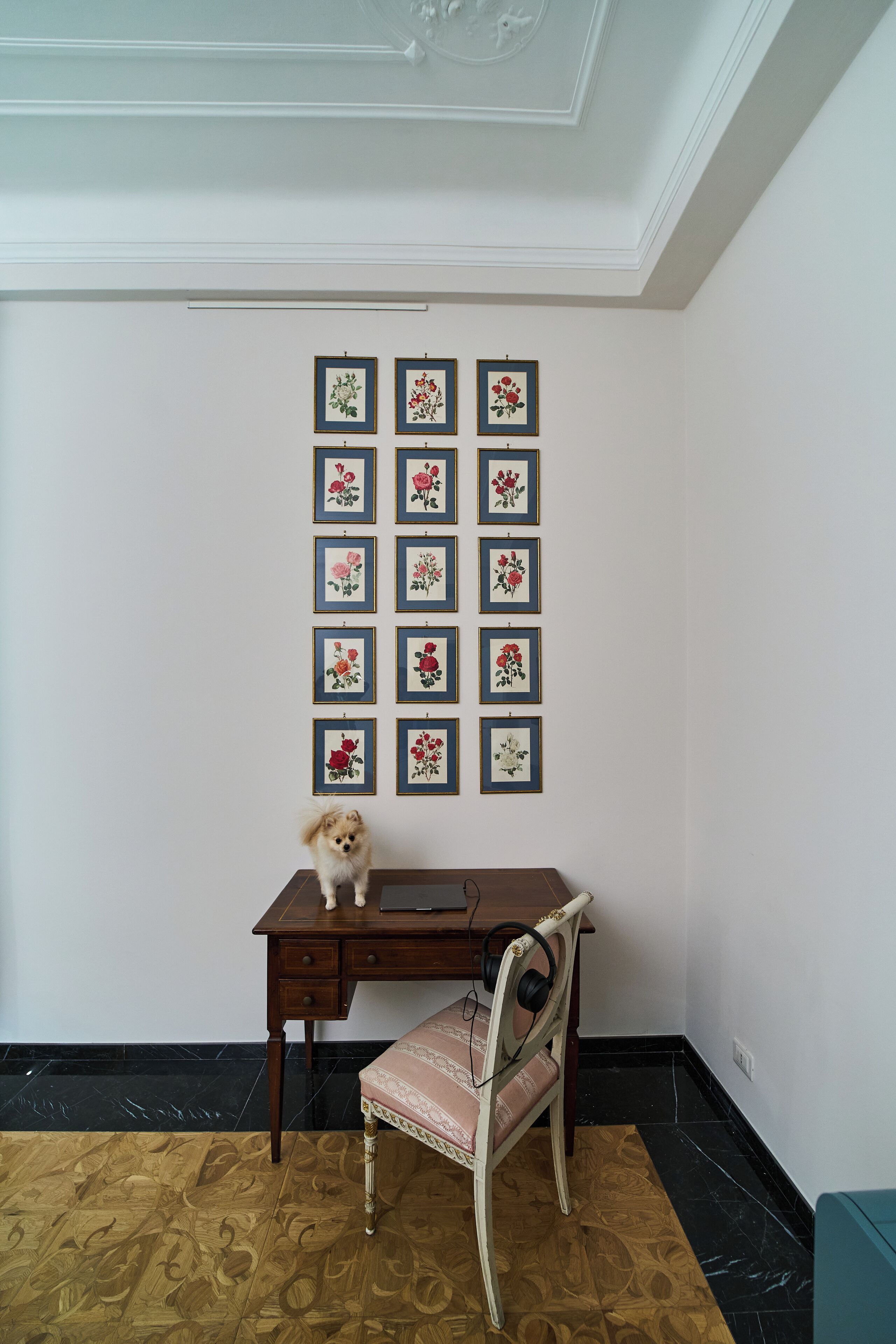 A room with a wooden desk, a chair, and a small dog. There are framed floral pictures on the wall.