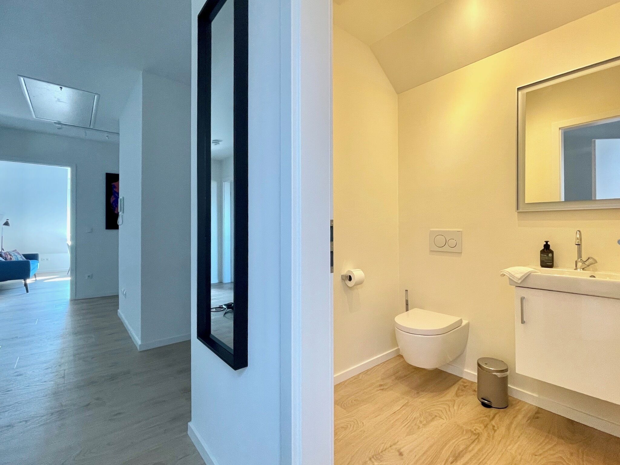 Een modern appartement met een zichtbare gang die leidt naar een woonruimte, een toilet en een wastafel met spiegel.