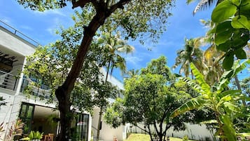 Jardim