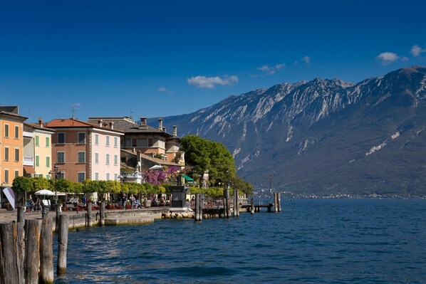 A waterfront with buildings, a dock, and a mountain in the background.