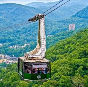 Ride the cable car through lush hills and scenic views.