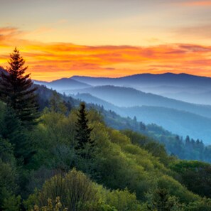 Eine gebirgige Landschaft mit dichtem Wald und Sonnenuntergang.