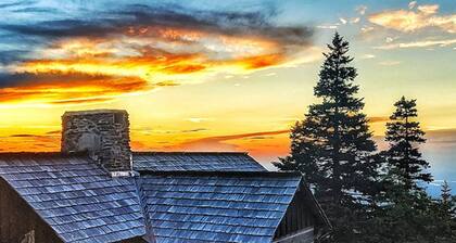 Amazingly Cozy Close to Attractions Fire Pit