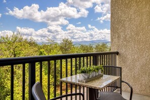 2 bedrooms - Luxurious Renovated Pool Basketball Playground (Pigeon Forge)