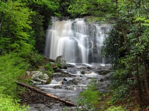 A waterfall surrounded by lush greenery.