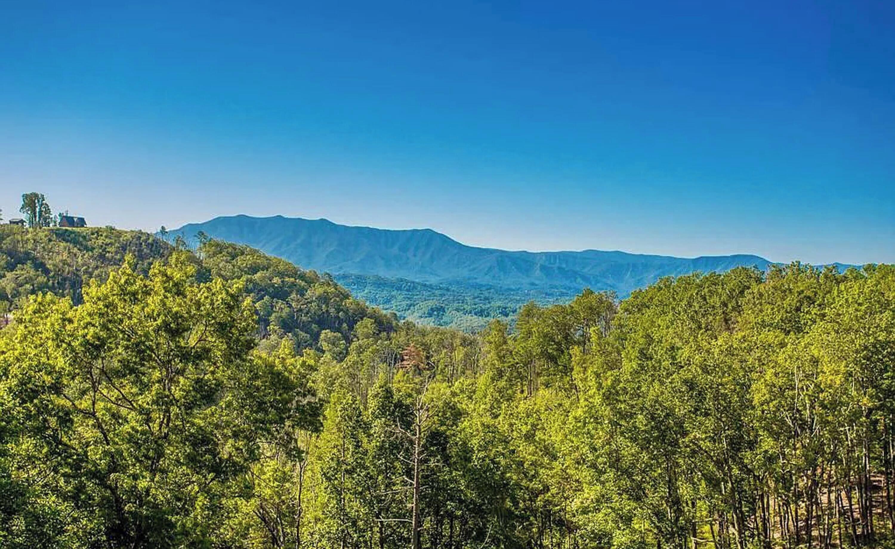 Un paysage montagneux, avec une forêt dense au premier plan et un ciel dégagé.