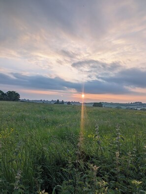 إطلالة على الحديقة
