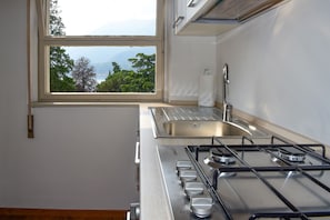 Departamento, vista al lago | Cocina privada | Refrigerador con congelador, microondas, horno y parrilla de estufa