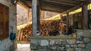A rustic wooden structure with a stone foundation, a pile of firewood, and a wooden door with heart-shaped cutouts. - Baita Gemma by Wonderful Italy (Bellagio)