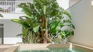 A pool area with a large plant in the center, surrounded by a low wall. - Modern Beautifull Pool And Sea Apt Qawra (St. Paul's Bay)