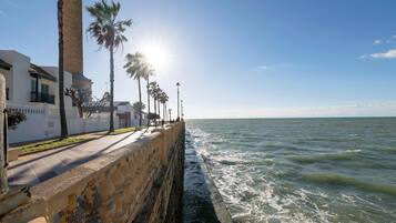 A coastal promenade with a stone wall, palm trees, and a clear view of the sea.