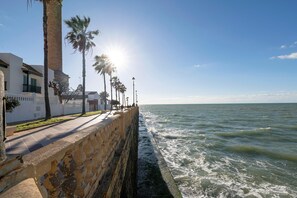 Un paseo marítimo con un muro de piedra, palmeras y una vista despejada del mar.