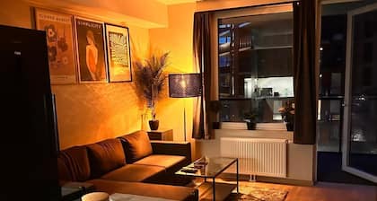 New Modern 2 room Apt, Lorenskog