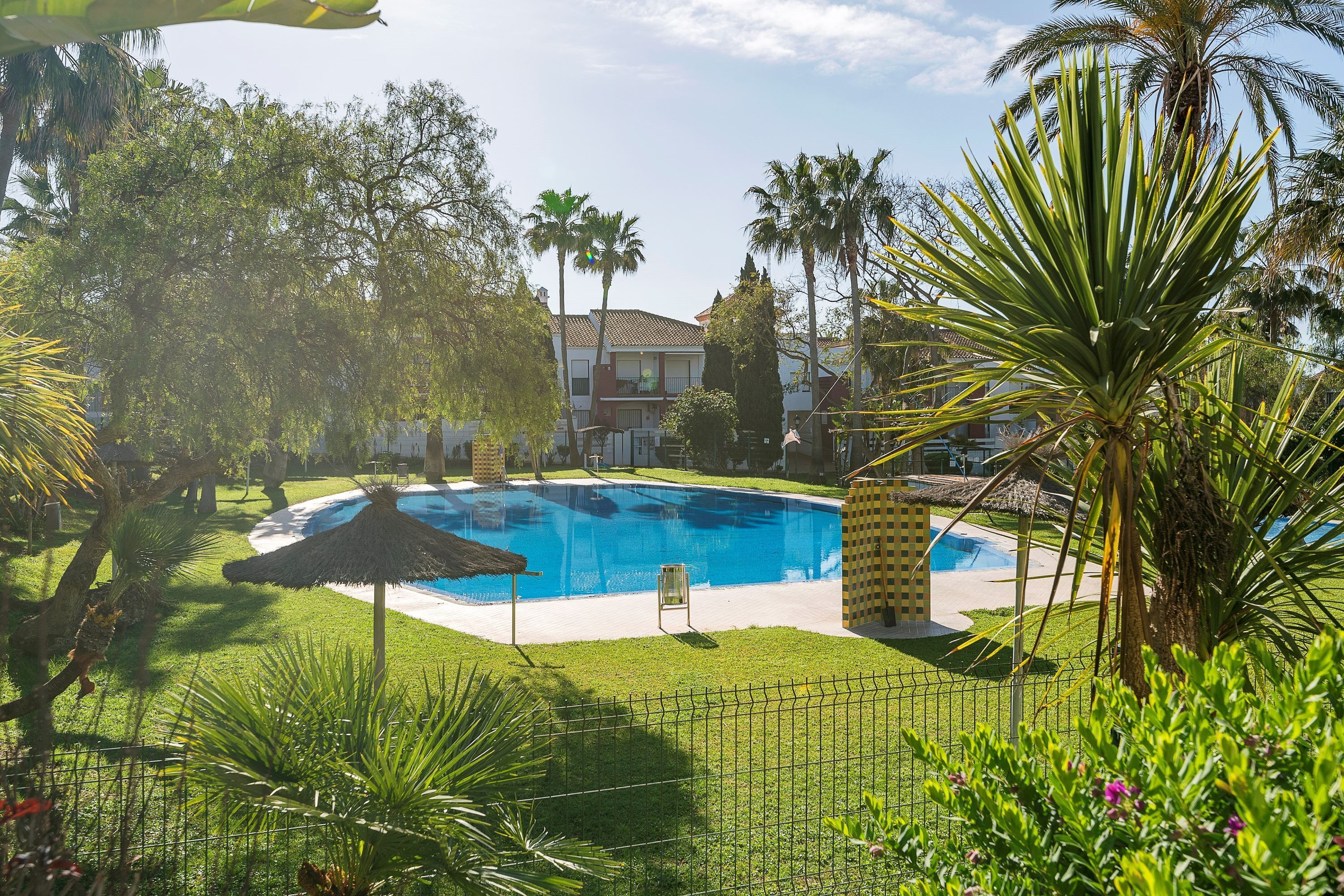 A swimming pool surrounded by lush greenery and palm trees, with a clear blue sky above.