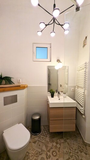 Shower, hair dryer, bidet, towels