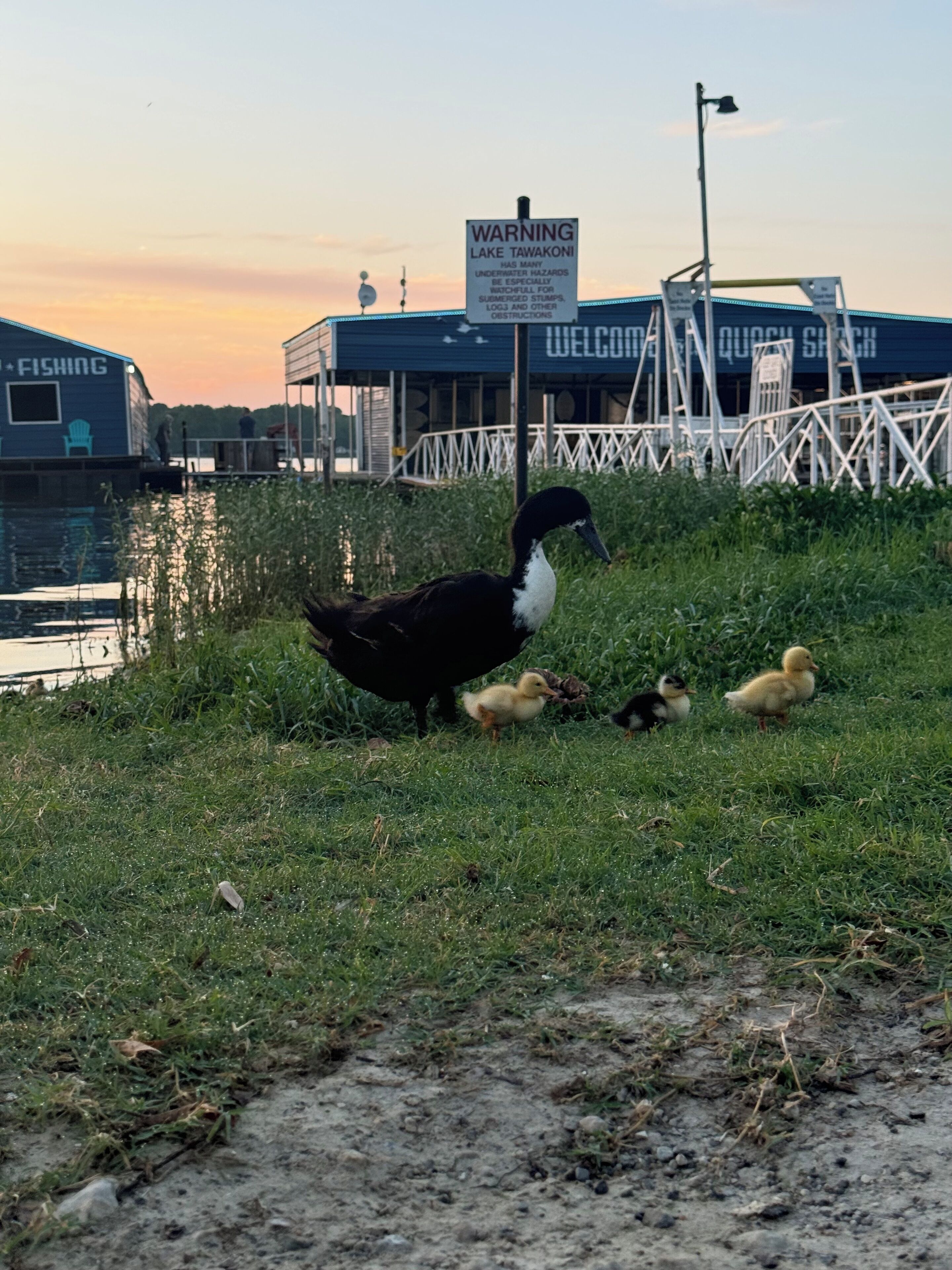 Overnatningsstedets område