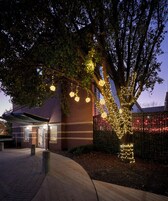 Un edificio con fachada de ladrillo, un acceso cubierto y un árbol decorado con luces colgantes.