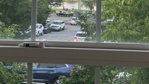 Une vue à travers une fenêtre munie d’un moustiquaire, qui donne sur un parking où se trouvent plusieurs voitures, avec de la verdure en arrière-plan.