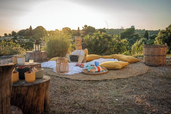 Áreas de la propiedad