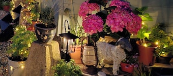 Luxury Shepherds Hut, The Hyde is an unique cabin, very peaceful, lovely walks.