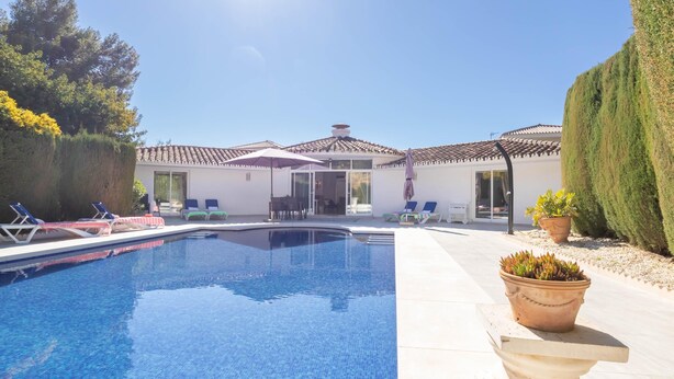 Una piscina con sillas de descanso, un área de patio y una planta en maceta.