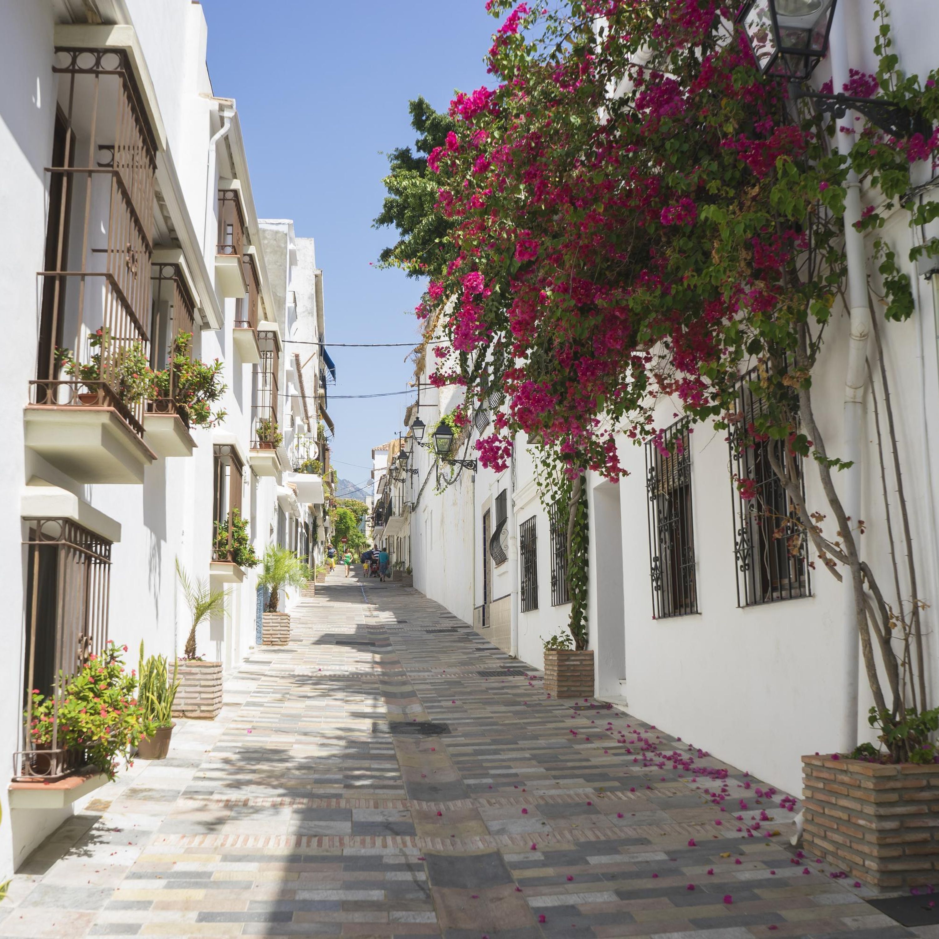 Apartamento | 3 dormitorios y Internet