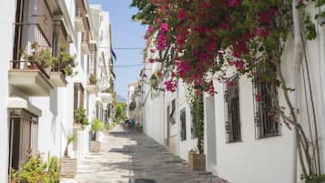 Apartamento | 3 dormitorios y Internet